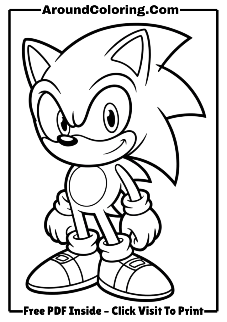 Classic Sonic Portrait