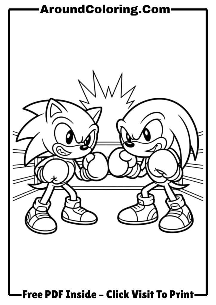 Sonic and Knuckles Boxing Match
